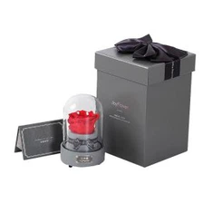 क्याप्स प्याकेजिंग डिस्पेक बेस्पोक 1 1500gsm कार्डबोर्ड गि बैंड बक्स